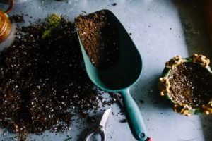 gardening with compost