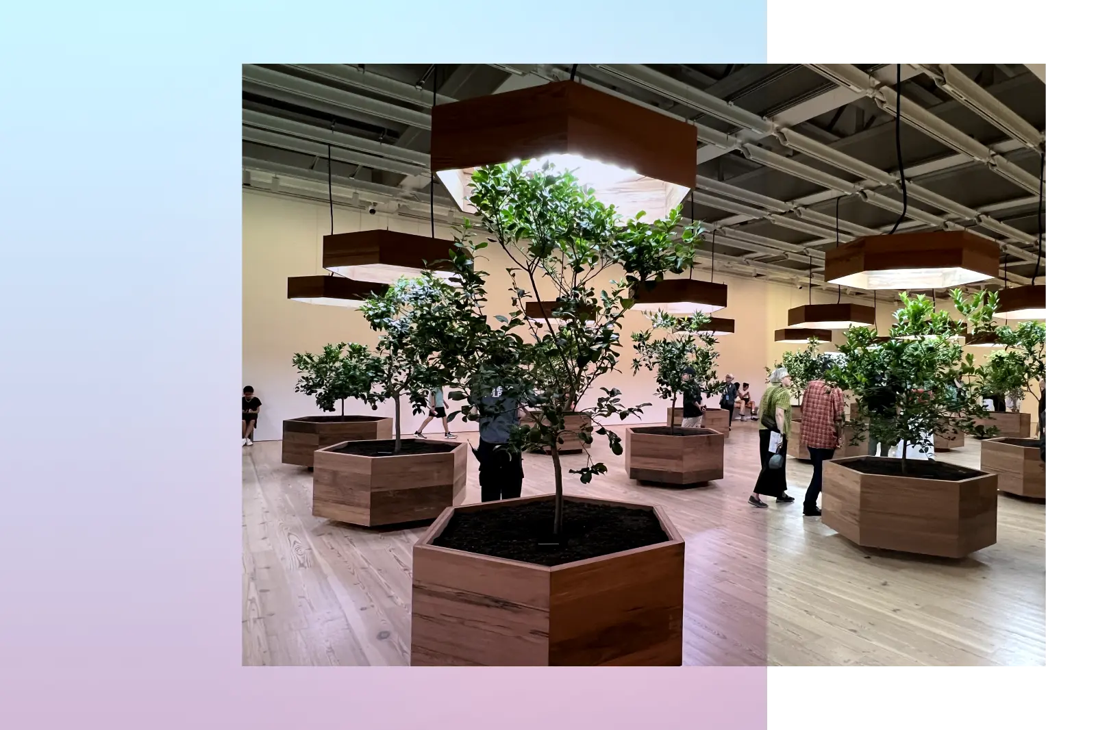 MoMa exhibit called Portable Orchards