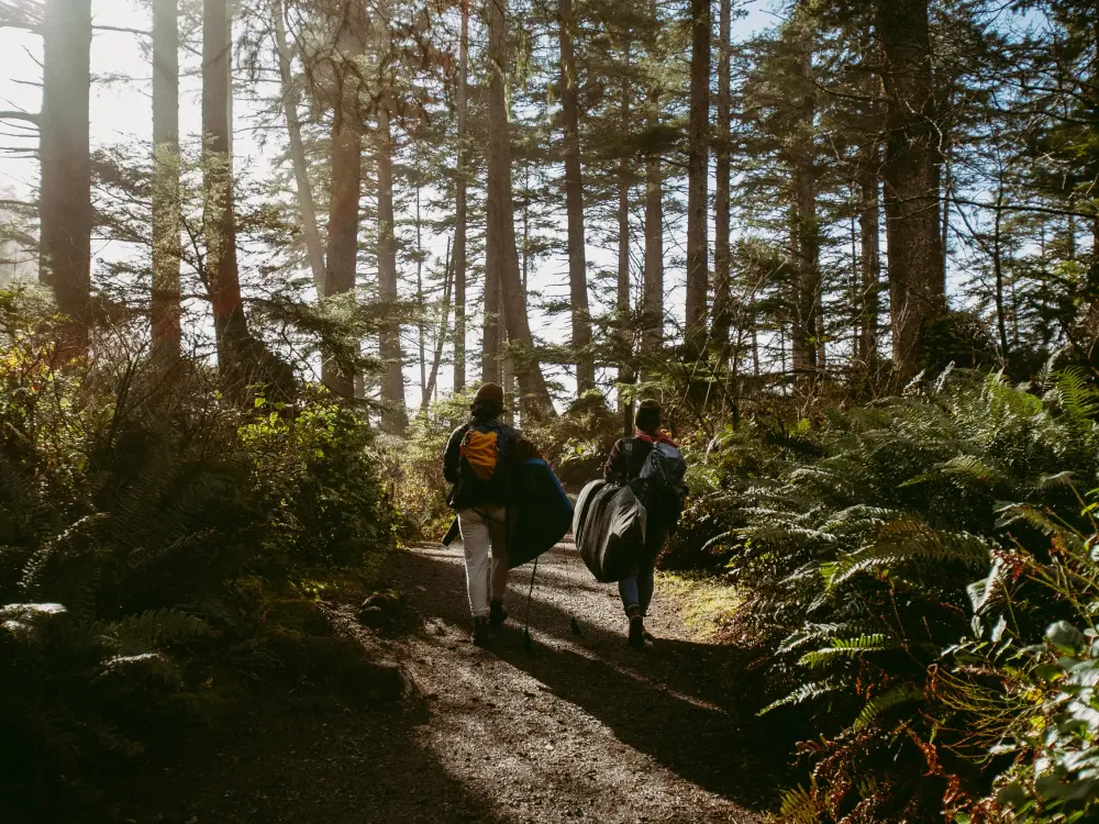 backpackers in the woods