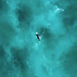 ocean