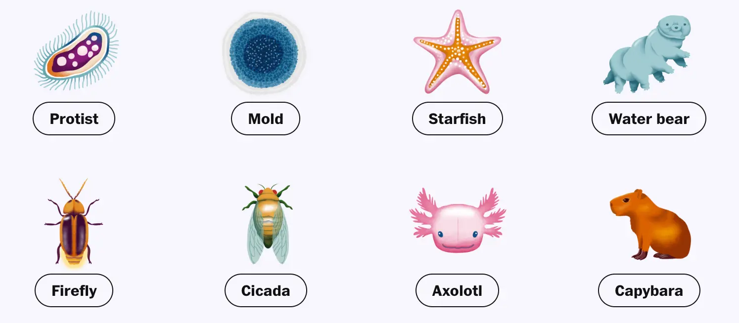 new nature emojis