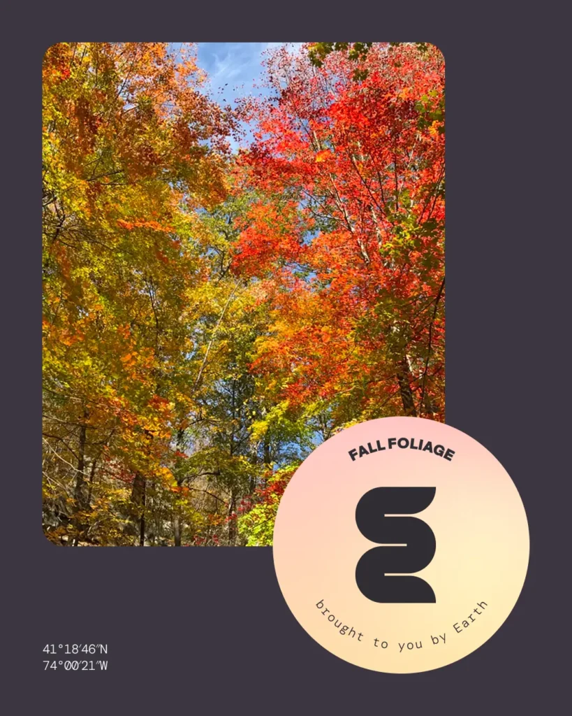 Gen E instagram post fall foliage