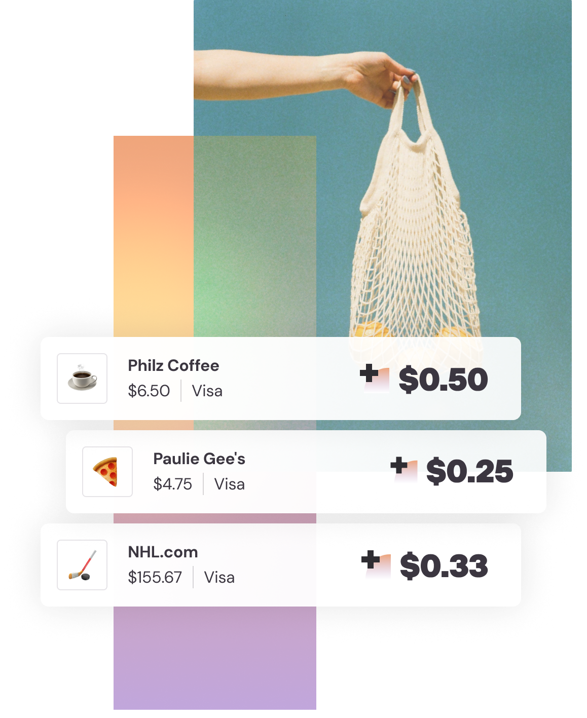 roundup transaction graphic