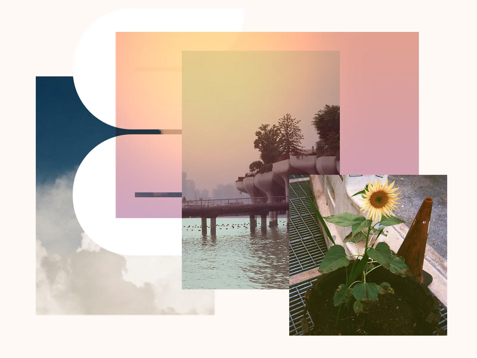 modern environmentalism nature in urban settings