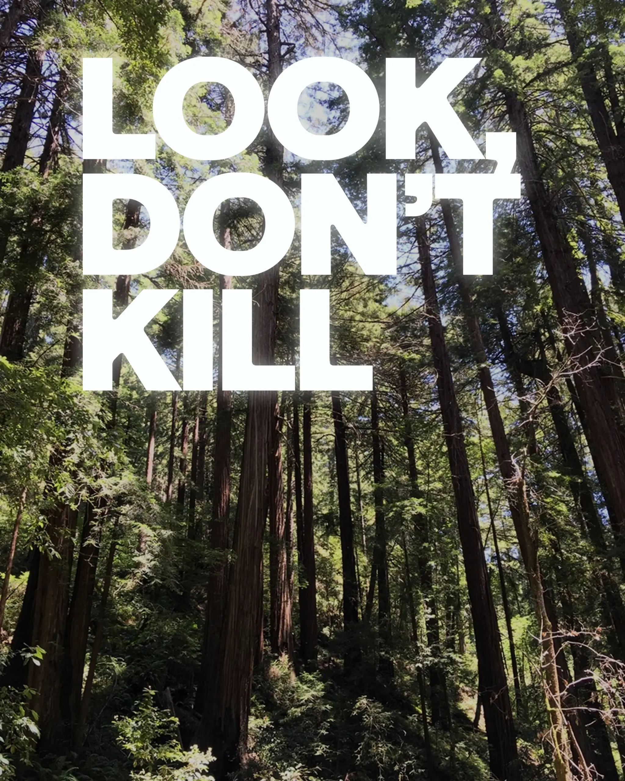 LOOK DONT KILL