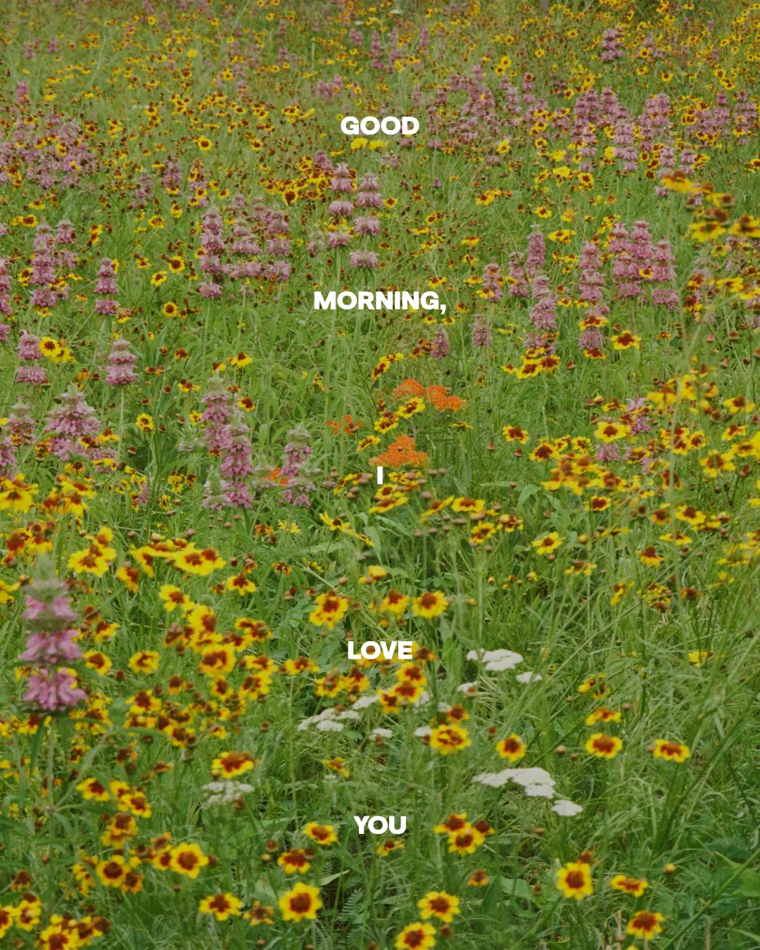 gp flowers